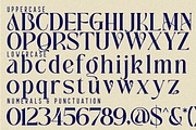 Traditional Aesthetic - Modern Serif, a Serif Font by 177Studio (Thumbnail 7 of 8)