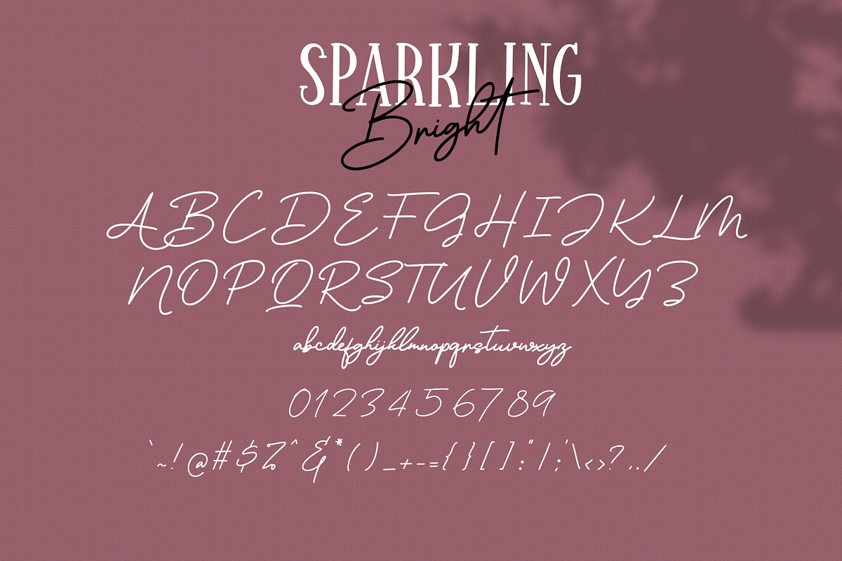 Sparkling Bright - Beauty Font Duo, a Serif Font by Dm Studio (Photo 9 of 10)