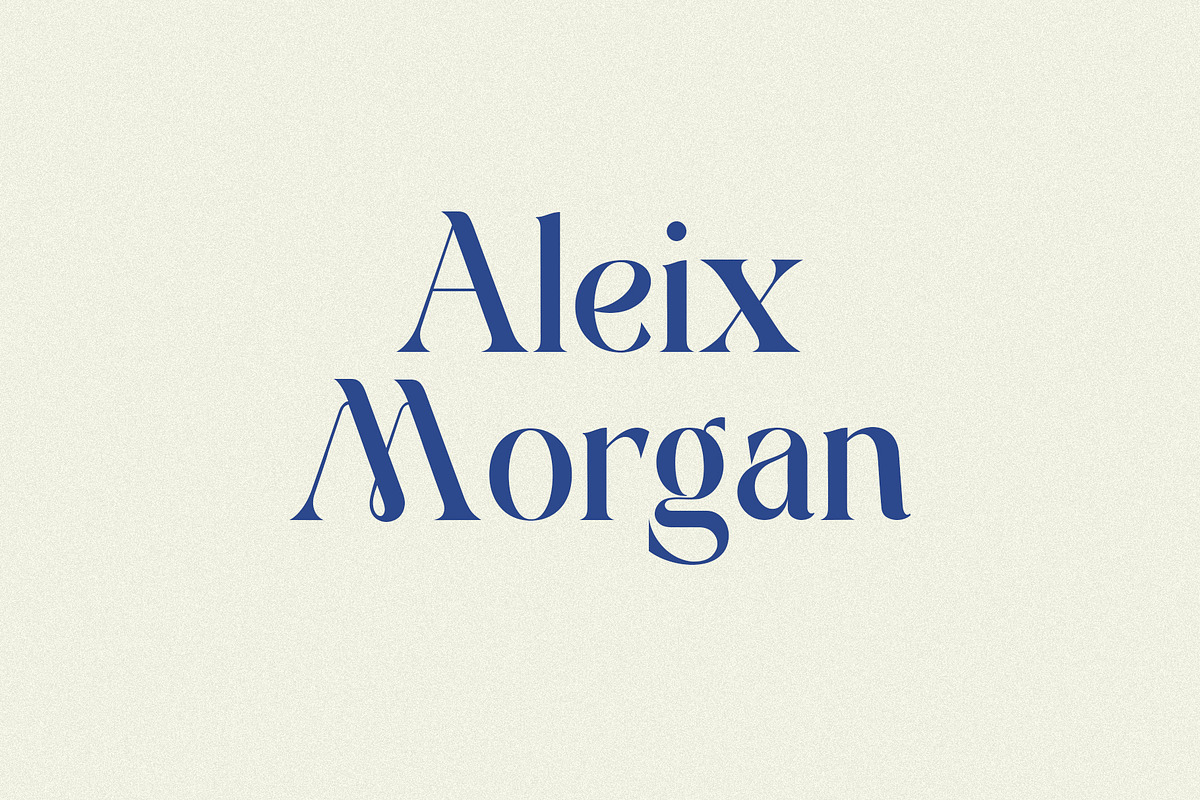 Mondeba Modern Serif Font, a Serif Font by Heinzel Std (Photo 2 of 13)