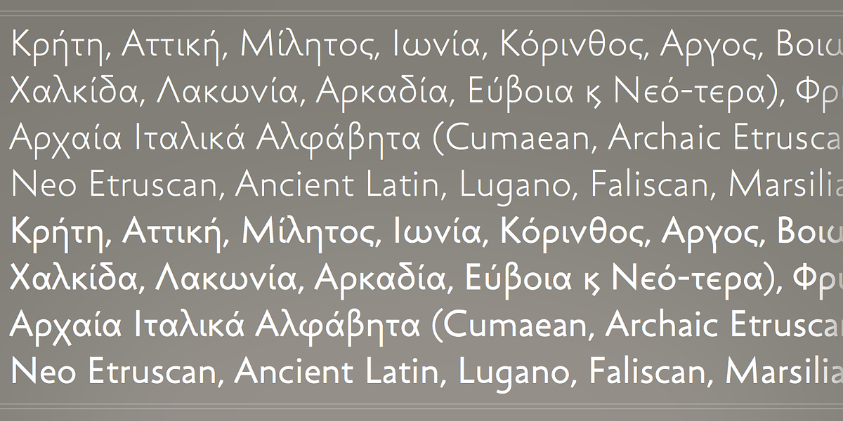 Lapidaria, a Sans Serif Font by Andreas Stötzner (Photo 5 of 7)