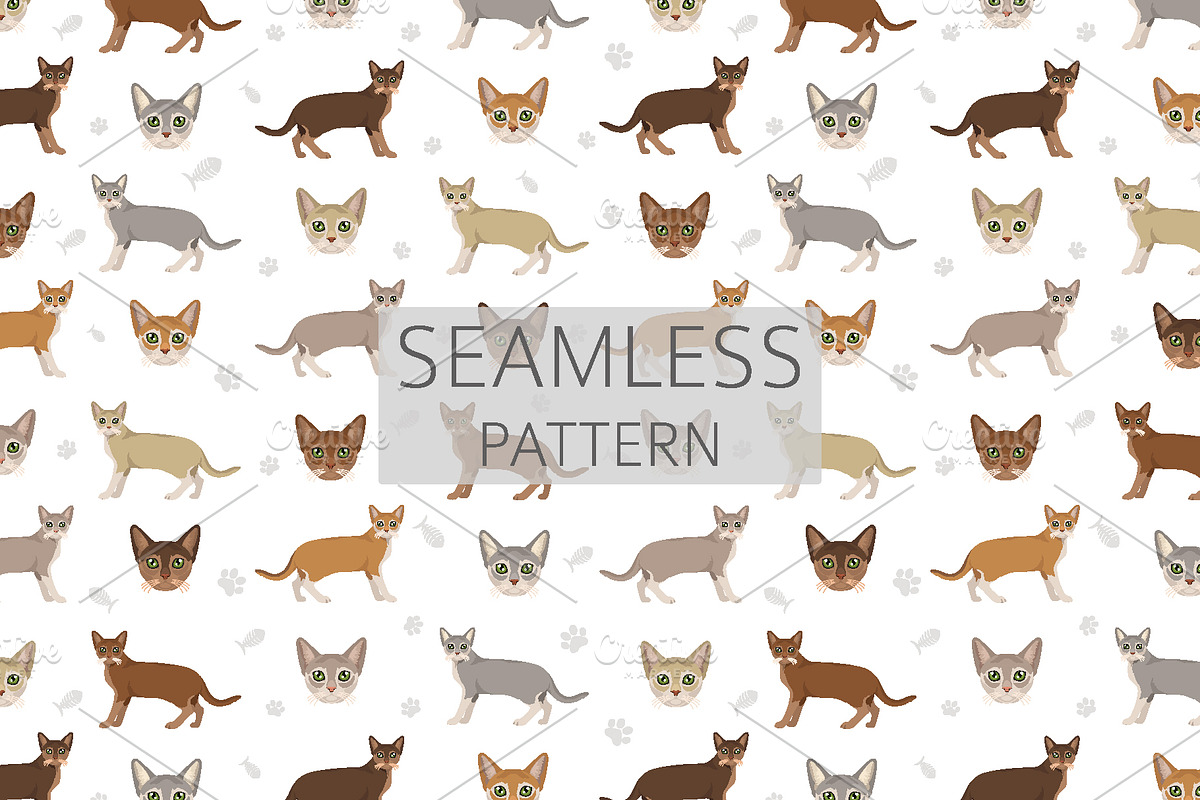 Singapura cat, an Animal Illustration by pet design shop (Photo 6 of 6)