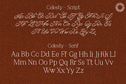 Celesty - Romantic Swash, a Script Font by Setara Langit CreativeStd (Thumbnail 12 of 12)