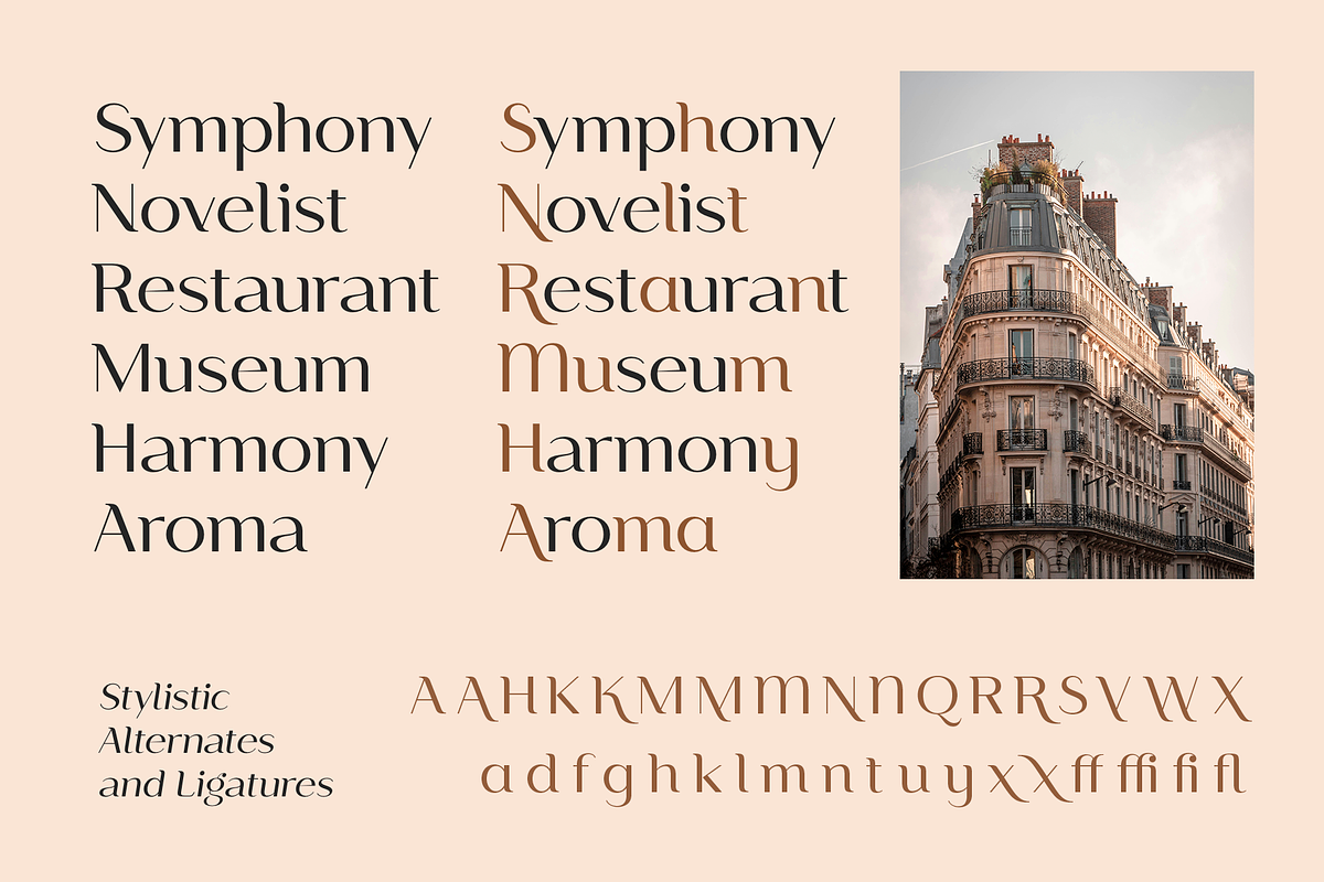 Paseo, a Sans Serif Font by Larin Type Co. (Photo 6 of 15)