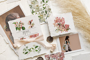 Tender Botany - Vintage Set