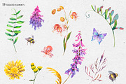 Watercolor meadow herbs&flowers, an Illustration by Depiano (Thumbnail 4 of 19)
