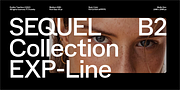 Expline, a Sans Serif Font by Formatype Foundry (Thumbnail 5 of 16)