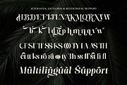 Paradise Spring - Soft Elegant Serif, a Serif Font by Shakira Studio (Thumbnail 10 of 10)