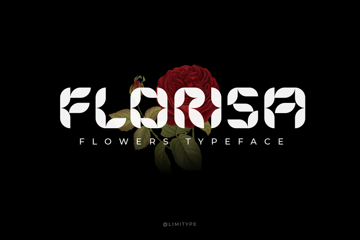 Florisa - Flowers font, a Font by limitype (Photo 1 of 8)