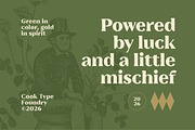Emerald Charm, a Serif Font by graphicook (Thumbnail 6 of 10)