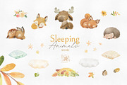 Sleeping Animals Collection, an Animal Illustration by StarJam (Thumbnail 3 of 8)