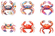 Watercolor Crab Clipart, an Illustration by Designking (Thumbnail 3 of 5)
