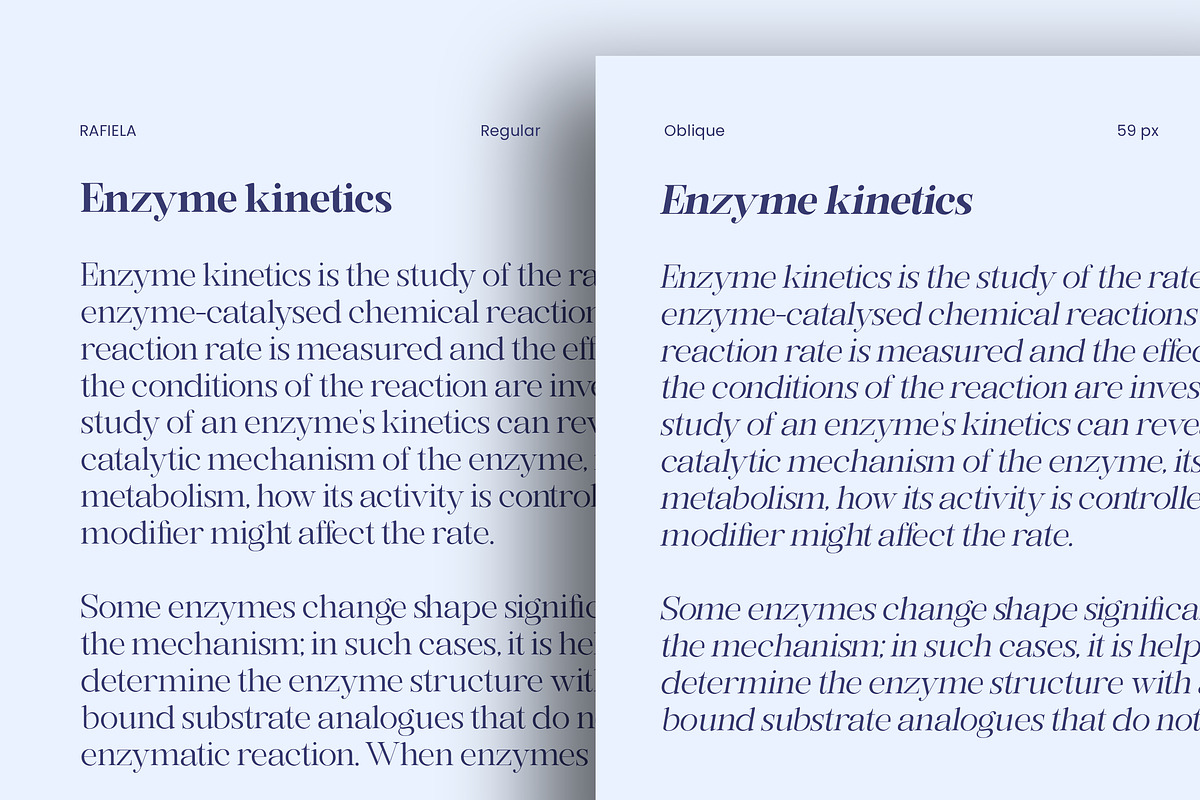 Rafiela, a Serif Font by Romiecreative (Photo 7 of 12)