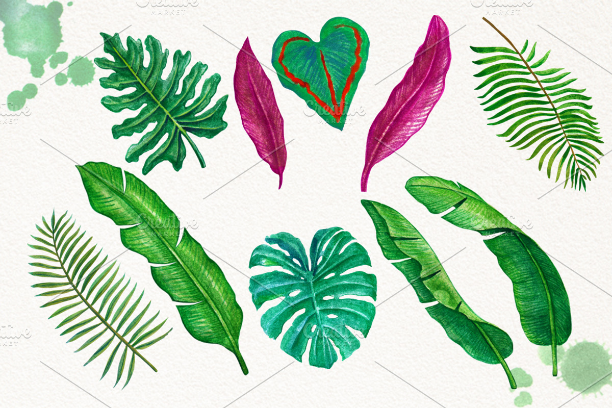 Tropical Leaves in the Jungle, an Illustration by Graphobia (Photo 4 of 9)