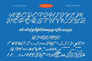 Feature Liften Modern Brush Font, a Script Font by stylishtype.co (Thumbnail 18 of 20)