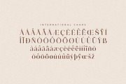 Adorage Modern Ligature Typeface, a Serif Font by Storytype Studio (Thumbnail 14 of 15)