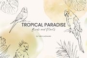Charming forest - BUNDLE 4 in 1, a Decorative Illustration by Yuliia Lashevska (Thumbnail 14 of 26)