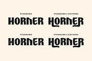 Alternoon - Ligature Display Font, a Sans Serif Font by PutraCetol Studio (Thumbnail 5 of 12)