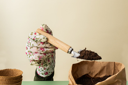 Hand in a glove planting tomato, a Nature Photo by Pandateam
