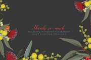 Wildflowers Australian Design Set, an Illustration by Sketchbook Designs (Thumbnail 11 of 11)
