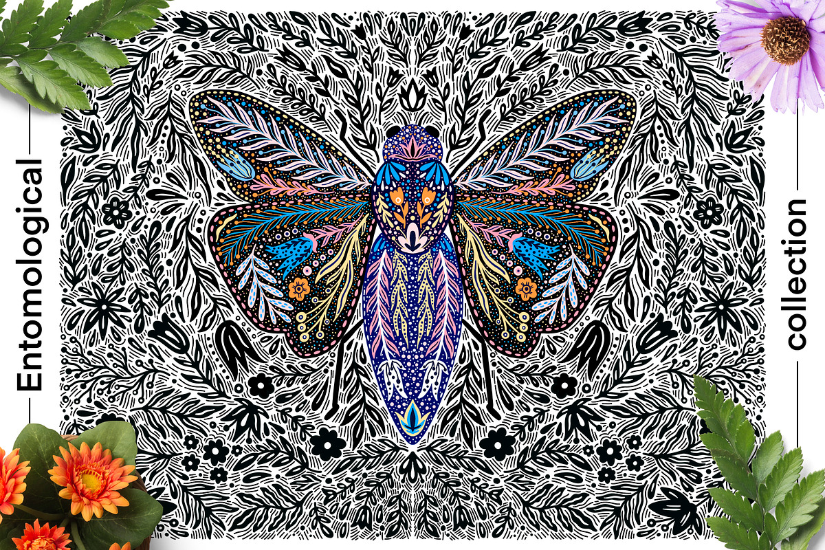 Entomological collection insect, a Decorative Illustration by Moonflora (Photo 9 of 13)