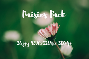 Daisies Pack