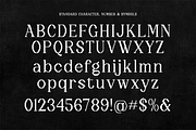 Trapix - A Unique Pixel-Style Serif, a Serif Font by Shakira Studio (Thumbnail 10 of 10)