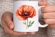 Watercolor Spring Garden Clipart PNG, an Illustration by Canvas Craft (Thumbnail 7 of 7)