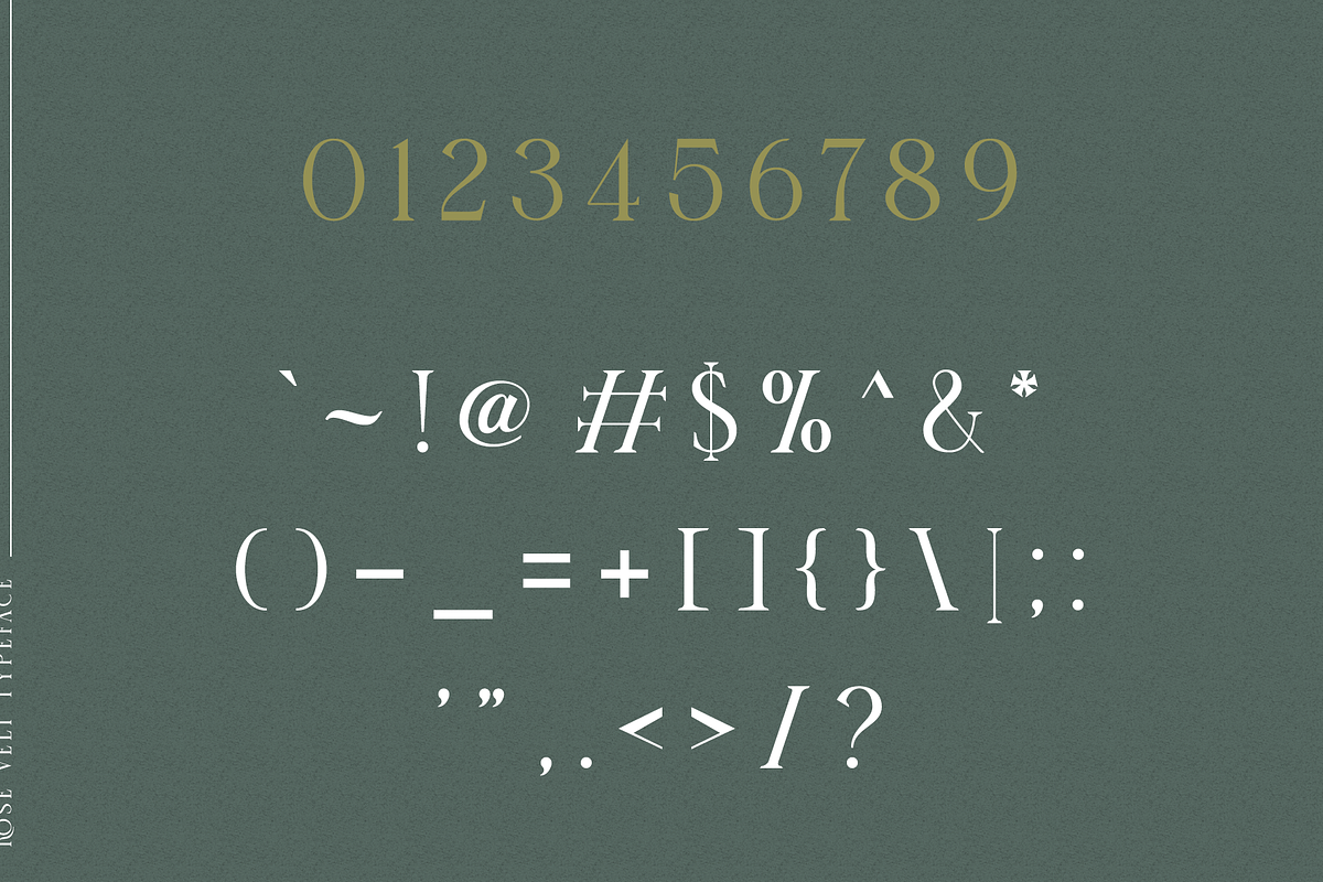 Rose Velt, a Serif Font by ilhamtaro (Photo 7 of 9)