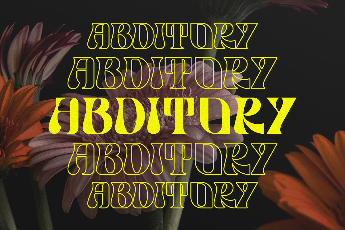 Rutch Display Font, a Serif Font by Typetemp Studio (Photo 2 of 17)