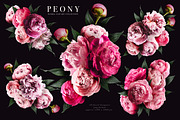 Peony Floral Clip Art, an Object Graphic by Eclectic Anthology (Thumbnail 11 of 17)