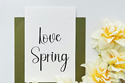 Beautiful Teacher, a Handwritten Font by InermediaSTUDIO (Thumbnail 5 of 8)