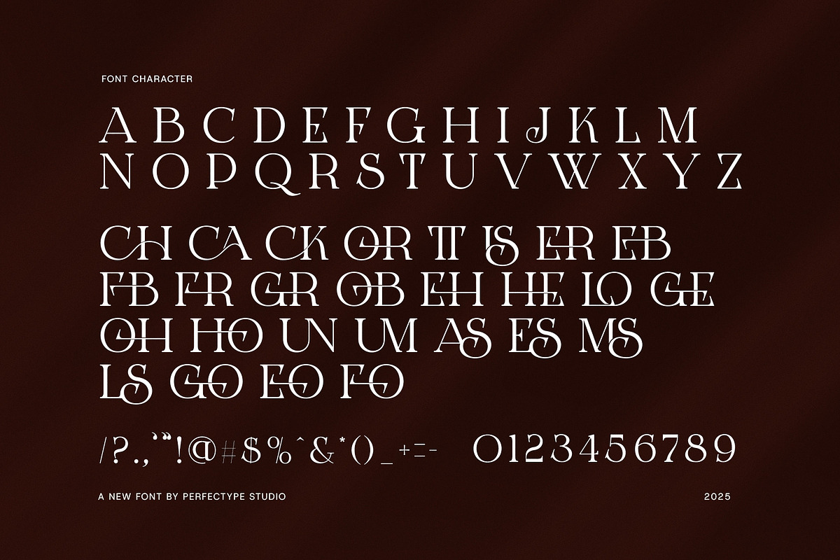 Jorde Logotype Serif Font, a Serif Font by Perfectype (Photo 7 of 8)