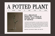 Moncky Modern Serif Font, a Serif Font by Perfectype (Thumbnail 5 of 8)