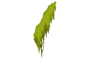 Cartoon jungle moss shape. Green, an Object Illustration by the8monkey