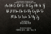 Autumn, a Handwritten Font by FreshTypeINK (Thumbnail 8 of 8)