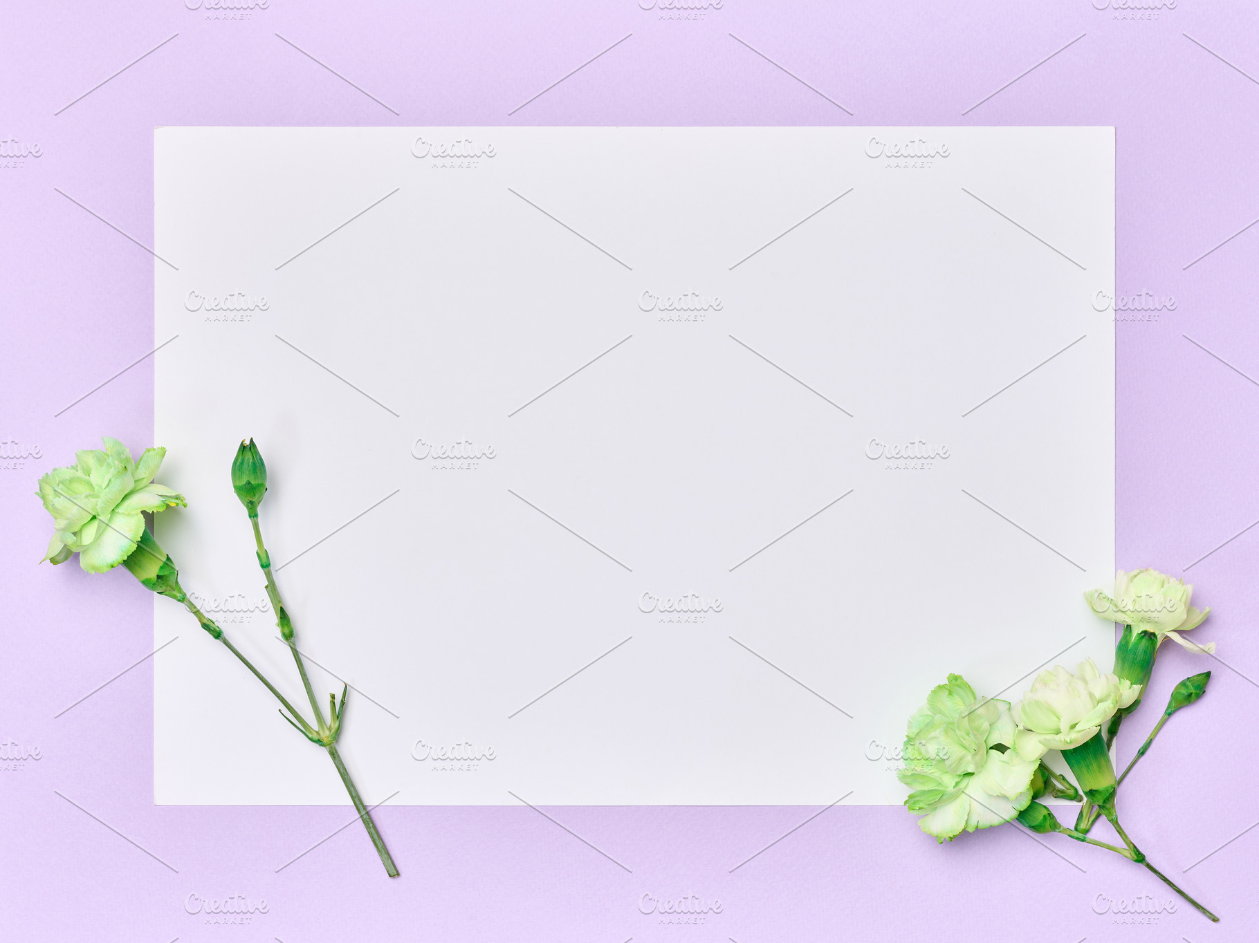 A blank white sheet of paper surrounded by branches of green ter, a Background Photo by ndanko
