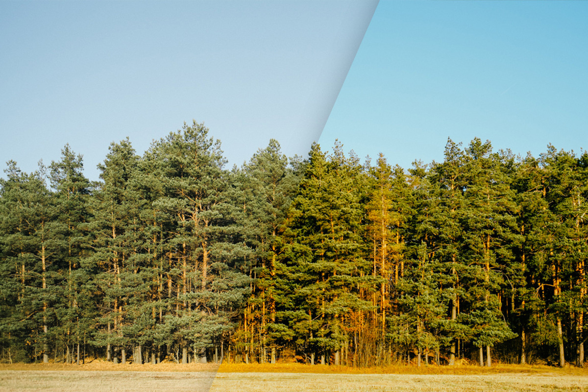 Lightroom Presets - Summer Bundle, an Action Add-On by PhotoMarket (Photo 15 of 29)