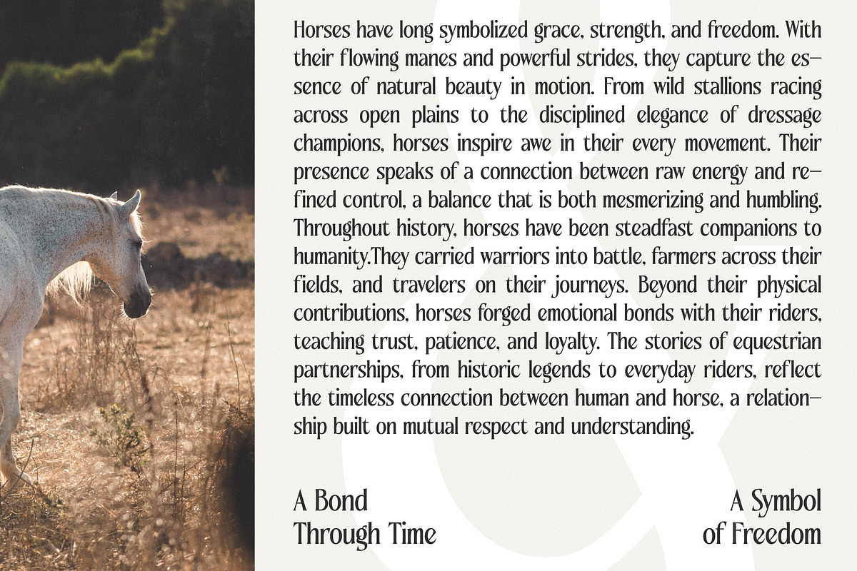 Qugotic Modern Alternate Serif, a Serif Font by timelesstype.co (Photo 8 of 20)