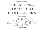 Black Signature | Script Font, a Script Font by Scratchones (Thumbnail 3 of 8)