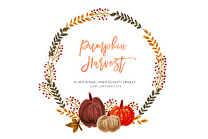 Pumpkin Harvest Clipart