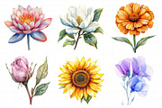 Watercolor Floral Clipart Flower, an Illustration by Daily.Designs (Thumbnail 7 of 8)