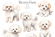 Bichon Frise, an Animal Illustration by TheCuteShop (Thumbnail 2 of 3)