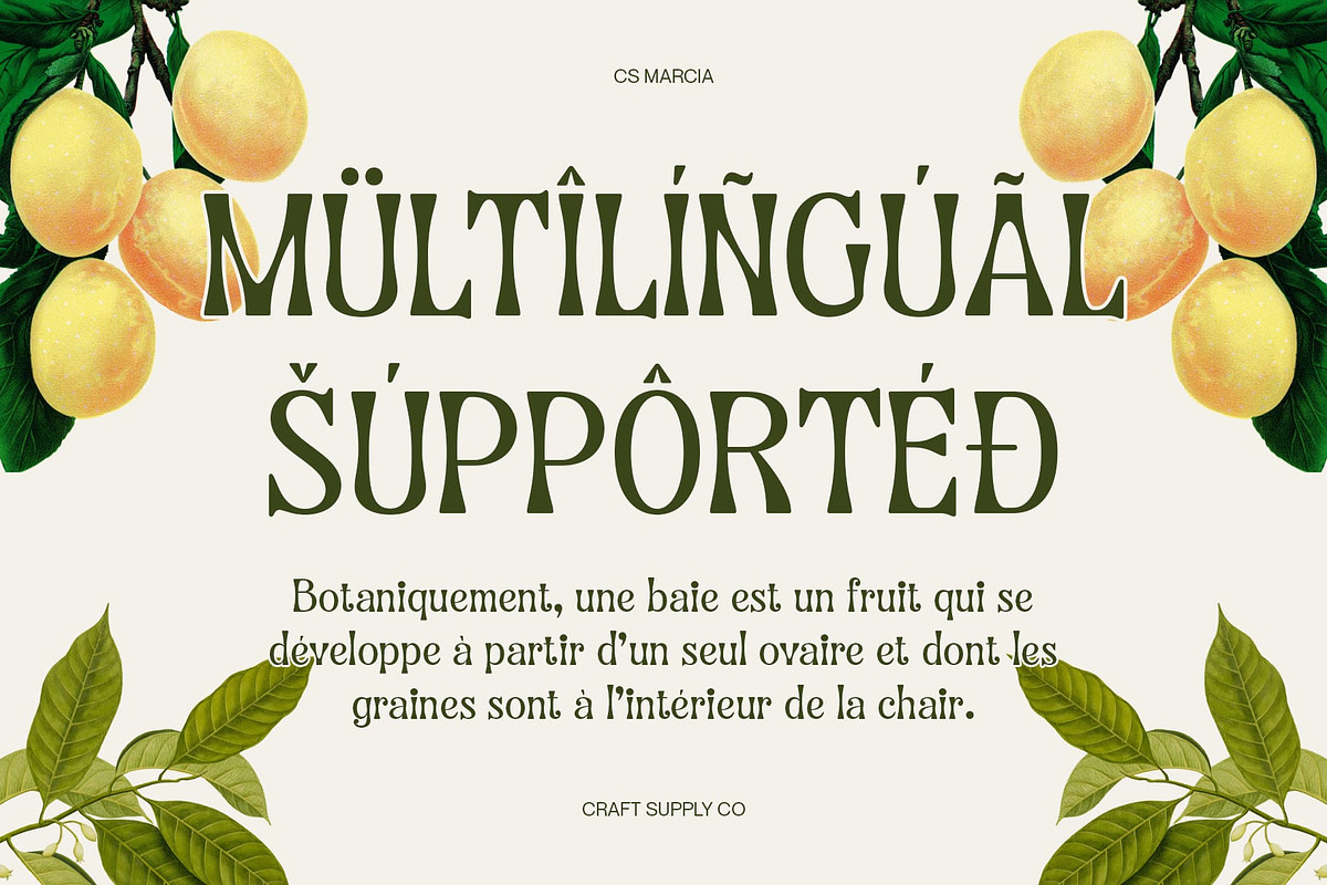 CS Marcia – Aesthetic Font, a Sans Serif Font by Craft Supply Co. (Photo 7 of 8)