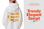Bright Giftak Retro Display Font, a Serif Font by timelesstype.co (Thumbnail 16 of 20)