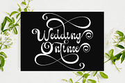 Bulgota, a Script Font by TM Type (Thumbnail 6 of 10)