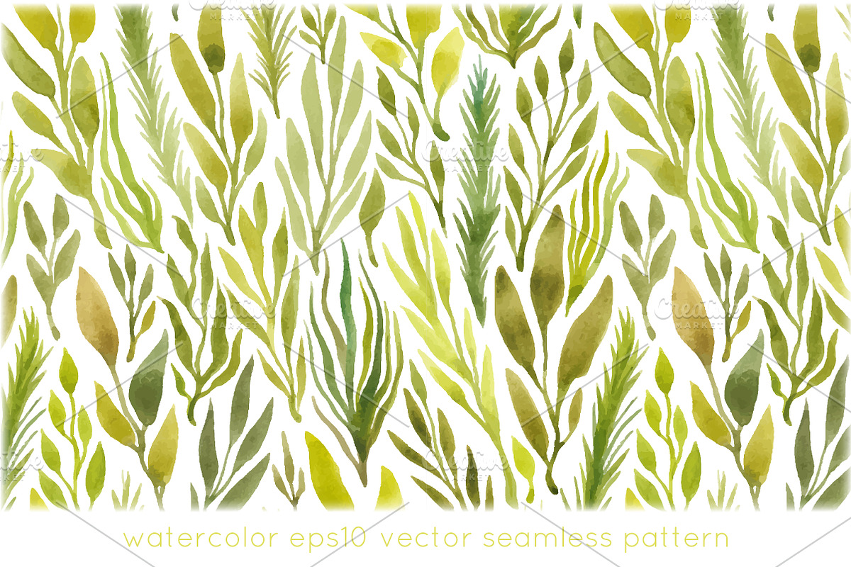 Watercolor herbs seamless pattern, a Pattern Graphic by IreneArt illustrations (Photo 4 of 5)