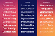 Clastin Variable, a Slab Serif Font by Stripes Studio (Thumbnail 12 of 15)