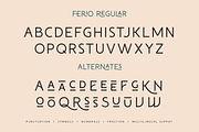 Ferio, a Sans Serif Font by Larin Type Co. (Thumbnail 13 of 15)