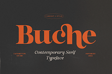 Buche Contemporary Serif
