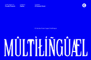 CS Quinate Drawn, a Serif Font by Craft Supply Co. (Thumbnail 2 of 8)